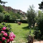 Montefioralle from the front garden of our rental holiday home in Tuscany Montefioralle from the front garden of our rental holiday home in Tuscany