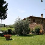 The front garden of our holiday home in Tuscany The front garden of our holiday home in Tuscany