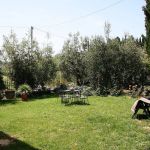 The back garden of our holiday apartment in Tuscany The back garden of our holiday apartment in Tuscany