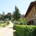 The road up to Montefioralle from our self-catering Tuscany holiday apartment The road up to Montefioralle from our self-catering Tuscany holiday apartment
