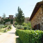 The road up to Montefioralle from our self-catering Tuscany holiday apartment The road up to Montefioralle from our self-catering Tuscany holiday apartment
