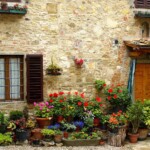 Flower garden in Montefioralle, Chianti, Tuscany Flower garden in Montefioralle, Chianti, Tuscany